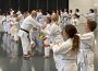 IMG_8618-2